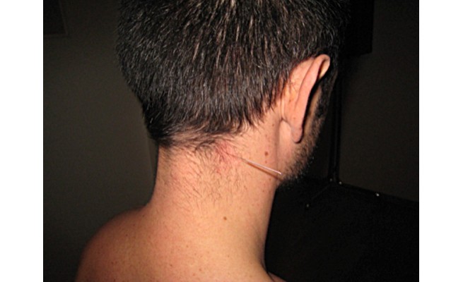KS578P41.jpg