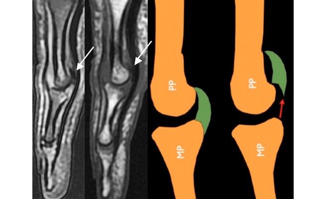 KS581P63.jpg