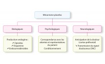 KS584P13.jpg