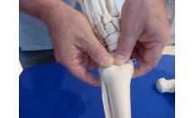 KS605P57.jpg