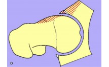 KS623P13.jpg