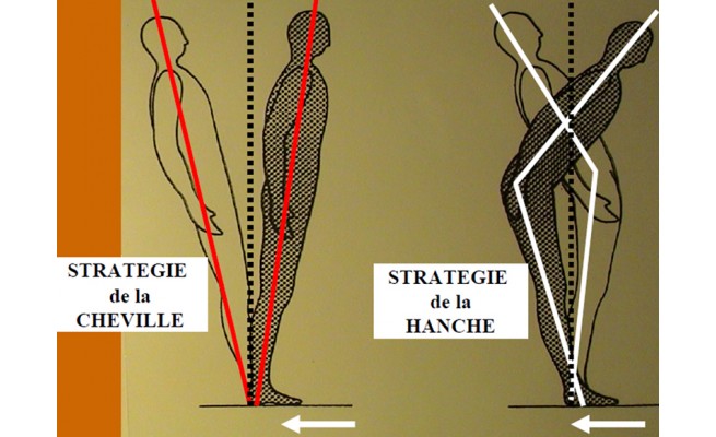 KS632P05.jpg