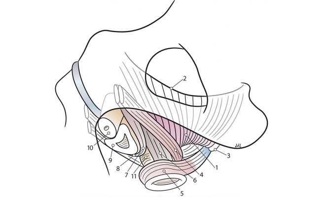 KS664P19.jpg