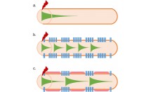 KS678P11.jpg