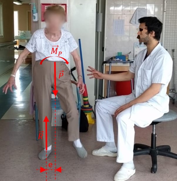 Acquisition et altération de la marche au cours du vieillissement