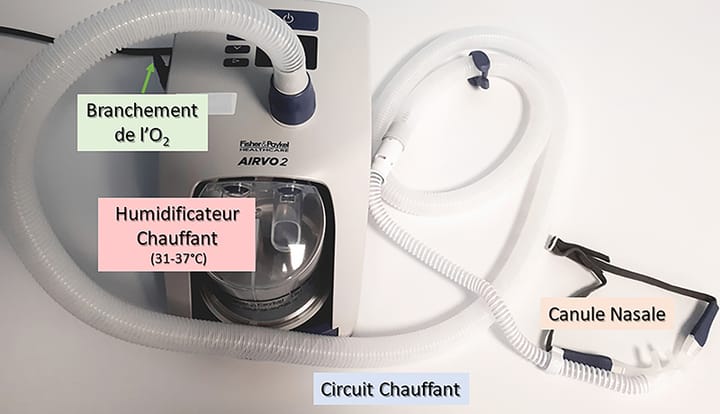 Le haut débit nasal, un sujet qui ne manque pas d'air !