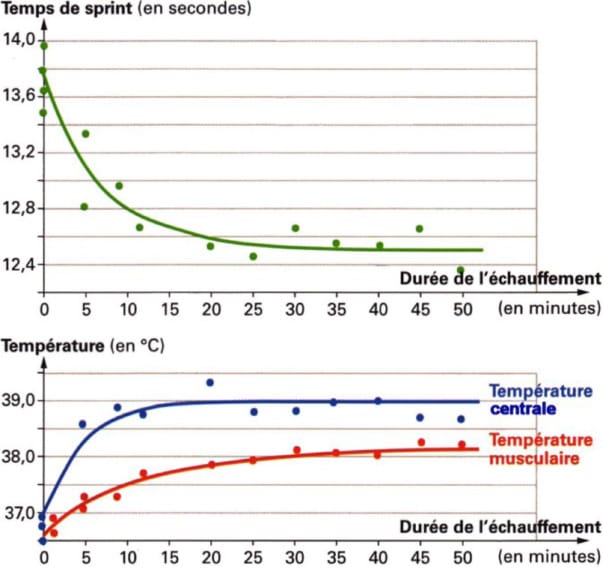 La place des étirements dans la pratique de l'escalade