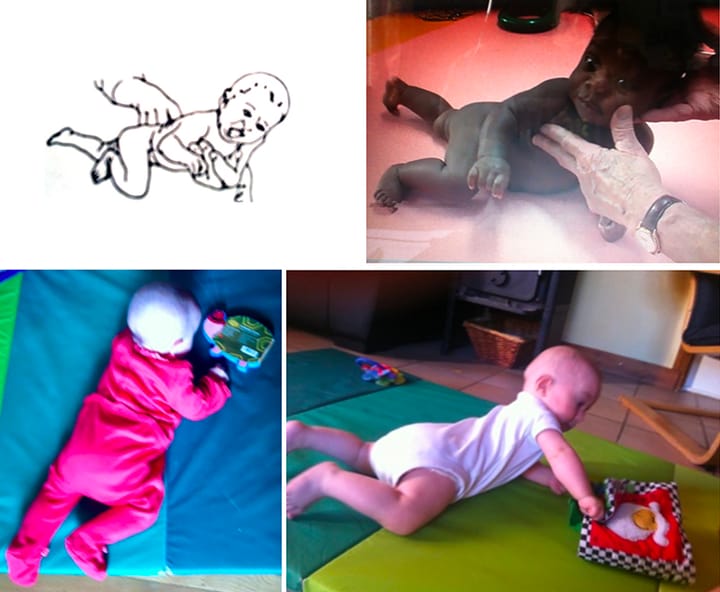 Schèmes cérébro-moteurs : rôle dans la motricité, applications en kinésithérapie