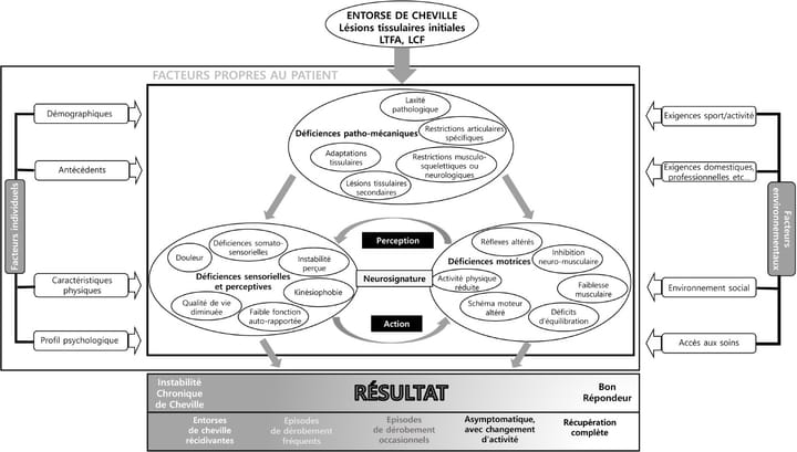 Examen, diagnostic et traitement (de l'entorse et) de l'instabilité chronique de cheville