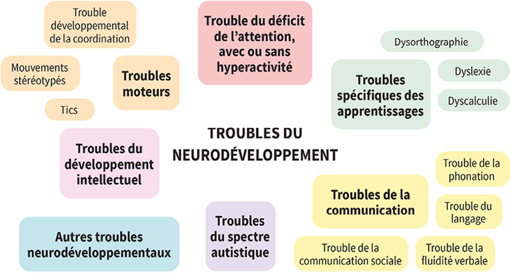 Les troubles du neurodéveloppement chez l'enfant : tous sensibilisés pour un repérage précoce des enfants à risque