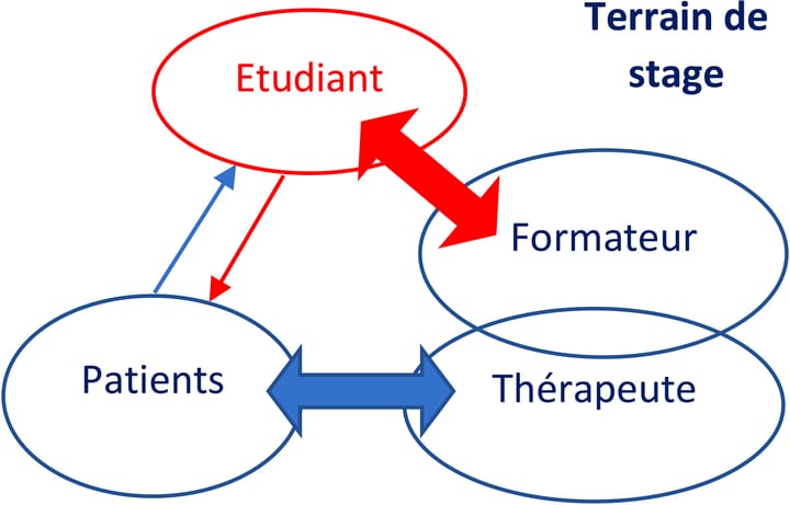 Le patient partenaire pédagogique, un atout pour l'enseignement du raisonnement clinique en formation initiale de masso-kinésithérapie