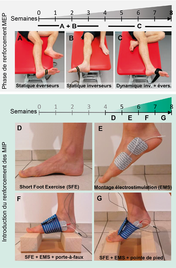 Renforcement des muscles intrinsèques du pied chez des coureurs en instabilité chronique de cheville un protocole à cas uniques une étude préliminaire