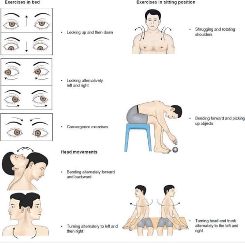 Rééducation vestibulaire : des origines aux fondements neurophysiologiques