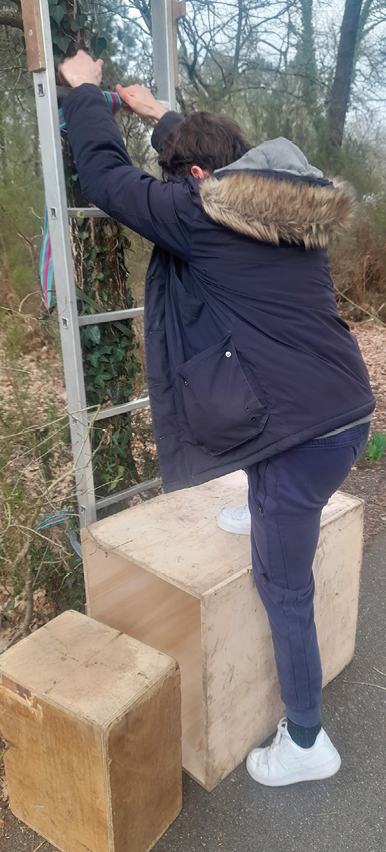 Neurorééducation fonctionnelle par séquences motrices quantifiées une rééducation morphocinétique pour les personnes neurodéficitaires 2e partie : le contenu