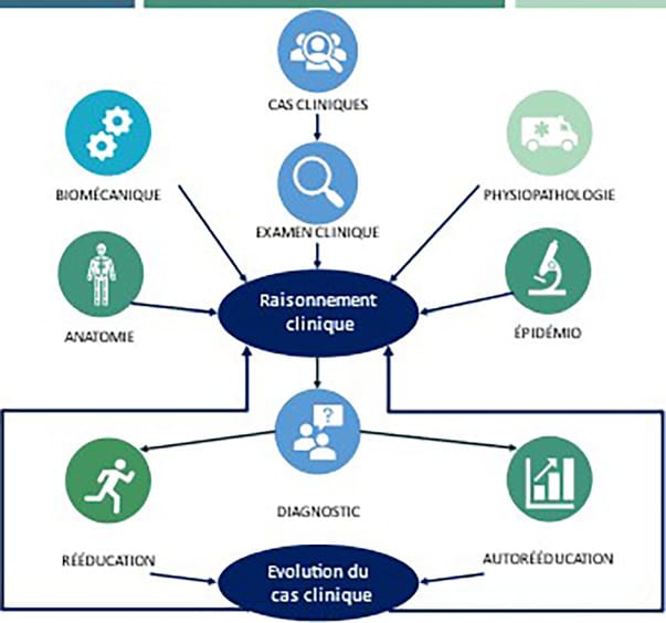 L'épaule douloureuse : de l'examen au raisonnement clinique (1ère partie)