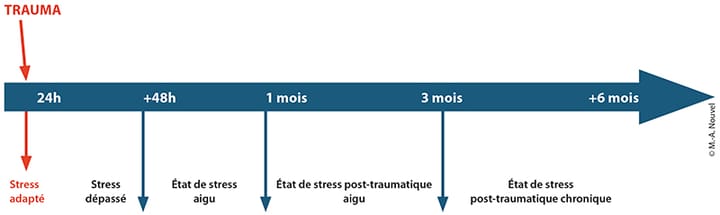 Introduction à la clinique du psychotraumatisme