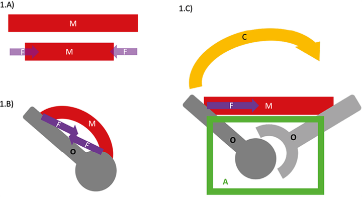 Raisonnement simplexe face à une plainte douloureuse
