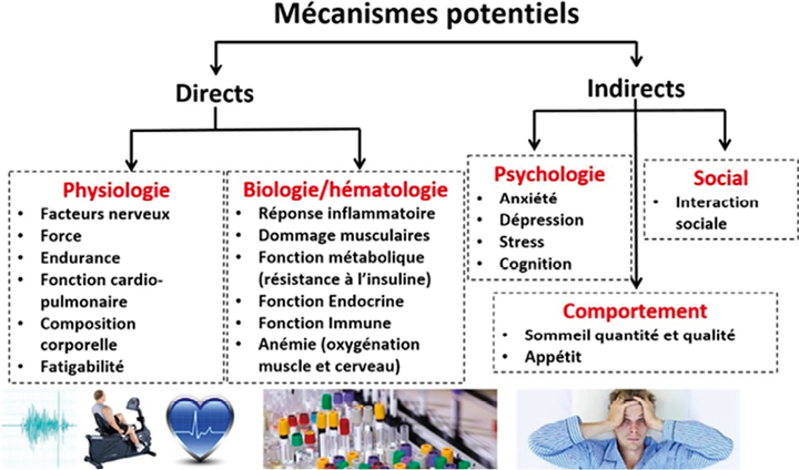 Les ordonnances nutritionnelles face à la fatigue