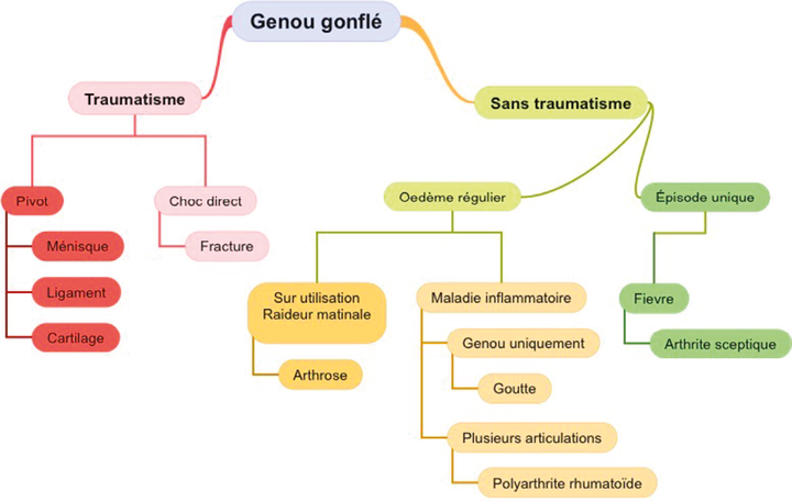 Proposition d'un arbre décisionnel aidant au diagnostic kinésithérapique différentiel des pathologies de la face antérieure du genou