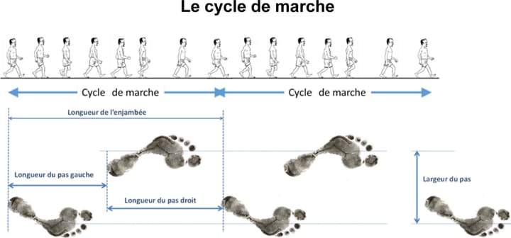 Apport de l'analyse quantifiée du mouvement dans les enjeux de rééducation de la marche