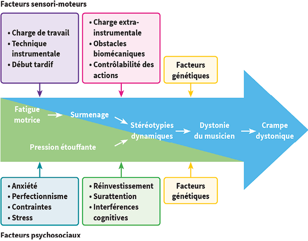 La dystonie de fonction chez le musicien 2e partie : physiopathologie, évaluation et traitement