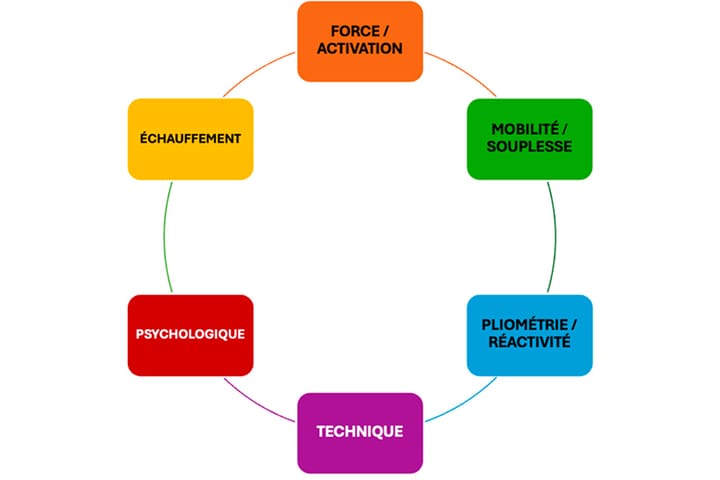La préparation physique préventive en handball : entre théorie et pratique