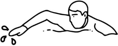 Les douleurs d'épaule chez le surfeur : proposition d'une fiche préventive