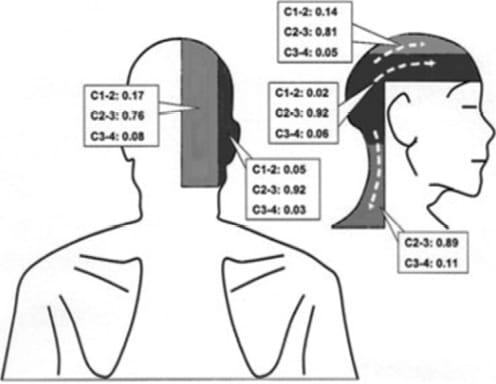 Fiabilité des tests cliniques pour un syndrome facettaire au niveau des cervicales inférieures (C3 à C7) 1ère partie : description