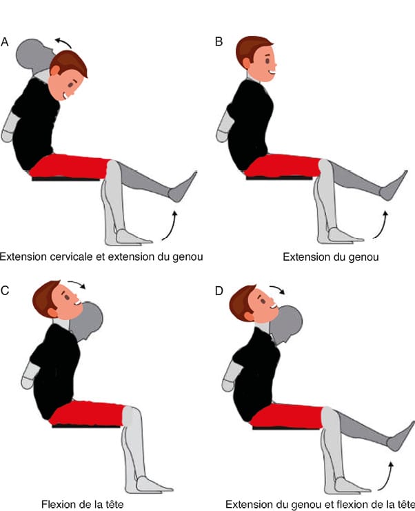 Mobilité in vivo du nerf sciatique en neuroglissement et en neurotension : impact en thérapie manuelle et en rééducation