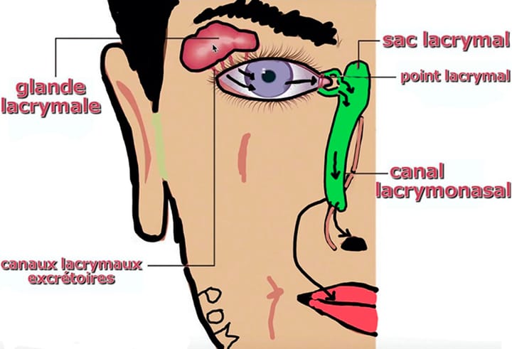 Approche originale : massage lacrymal et obstruction du canal lacrymal chez le nourrisson : intérêt, description, validité (1ère partie)