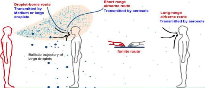 Adaptation des mesures d'hygiène en thérapie manuelle et rééducation maxillo-faciale pendant la pandémie COVID-19 (1ère partie)