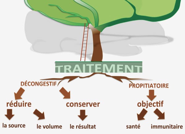 Drainage manuel ou drainage lymphatique manuel : une histoire dans l'histoire