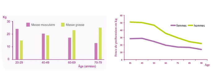 Prise en charge rééducative périnéo-sphinctérienne en gériatrie
