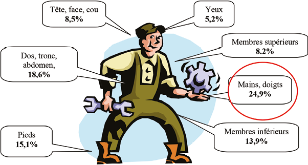 L'expertise en rééducation de la main