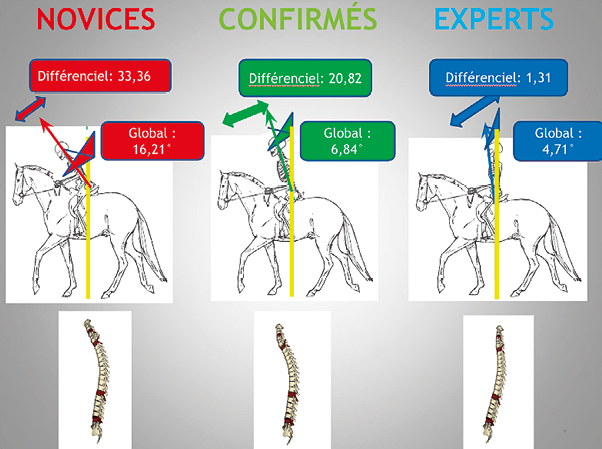 Comportement rachidien du cavalier dans le modèle conatif de l'équitation