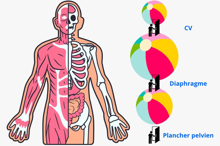 Maîtrise respiratoire et périnéologie en 2025 : vers la fin du double aveuglement