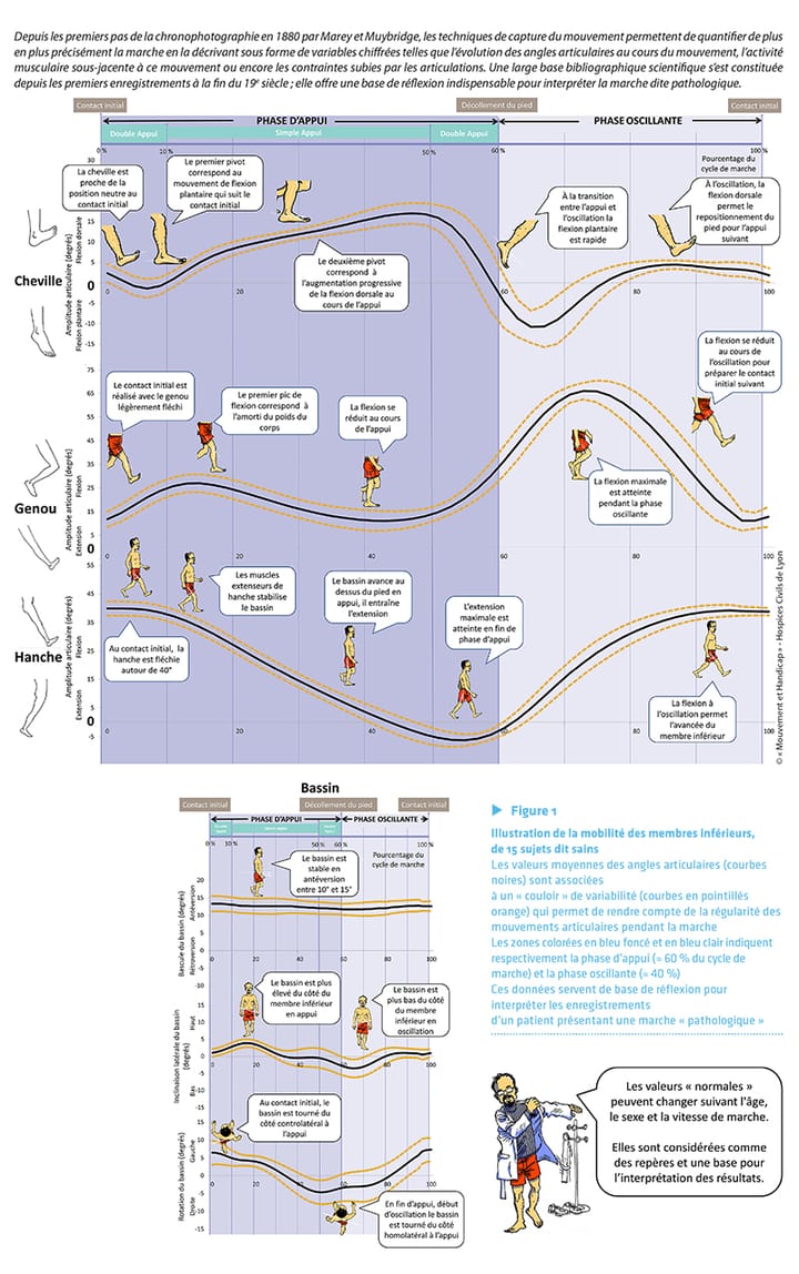 Apport de l'analyse quantifiée du mouvement dans les enjeux de rééducation de la marche