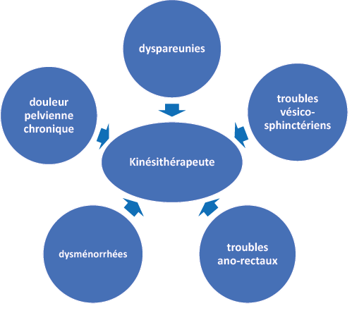 Endométriose, que peut faire le kinésithérapeute ?
