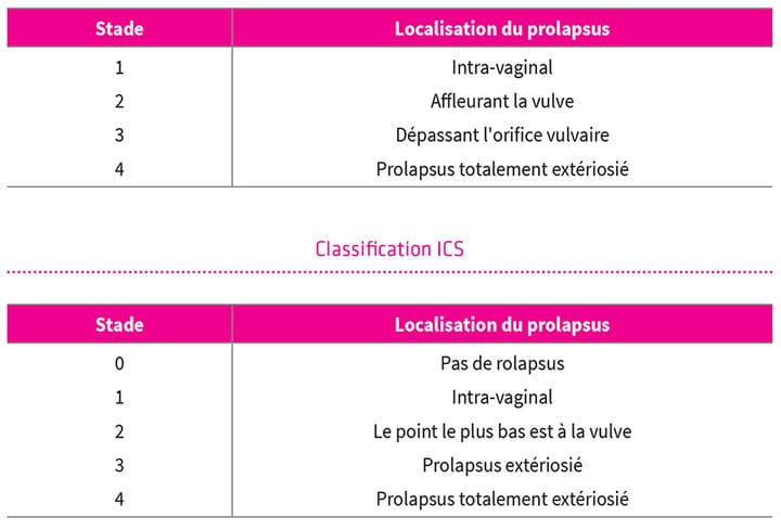 Prise en charge du prolapsus en 2024