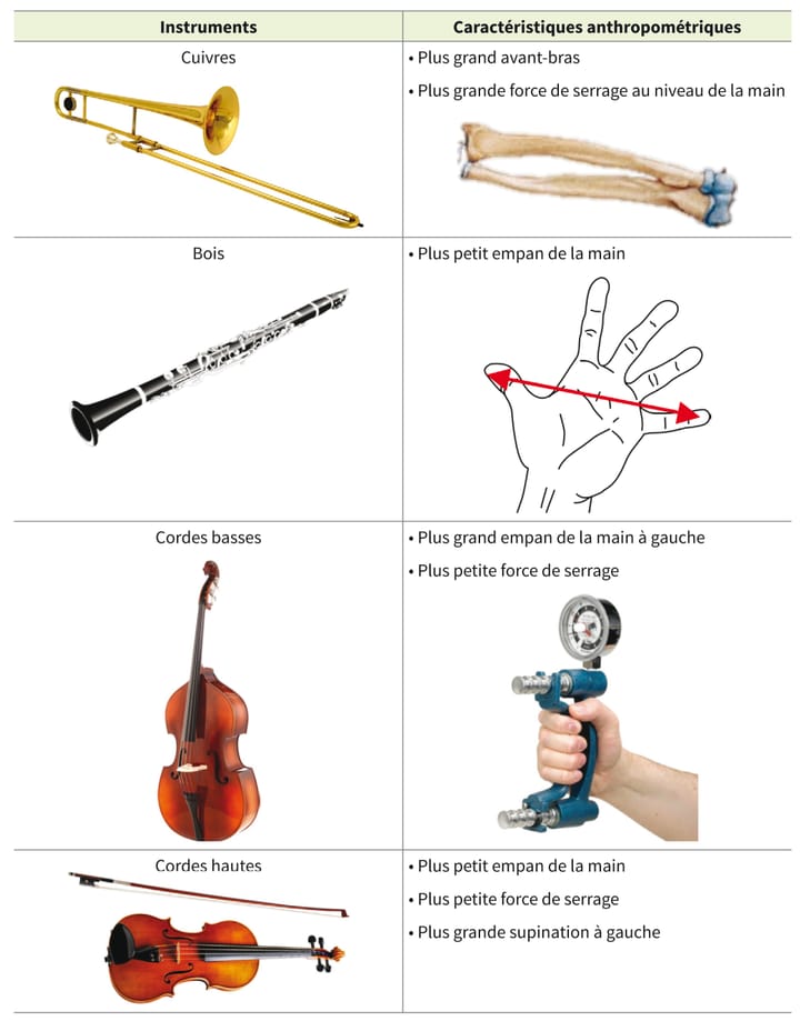 Bilan spécifique chez le musicien