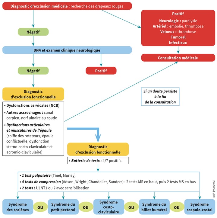 Démarche du diagnostic kinésithérapique dans le syndrome de la traversée thoraco-brachiale (1ère partie)