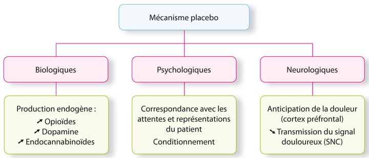 L'effet placebo en physiothérapie