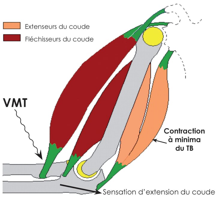 Les techniques de leurre cognitif en pratique