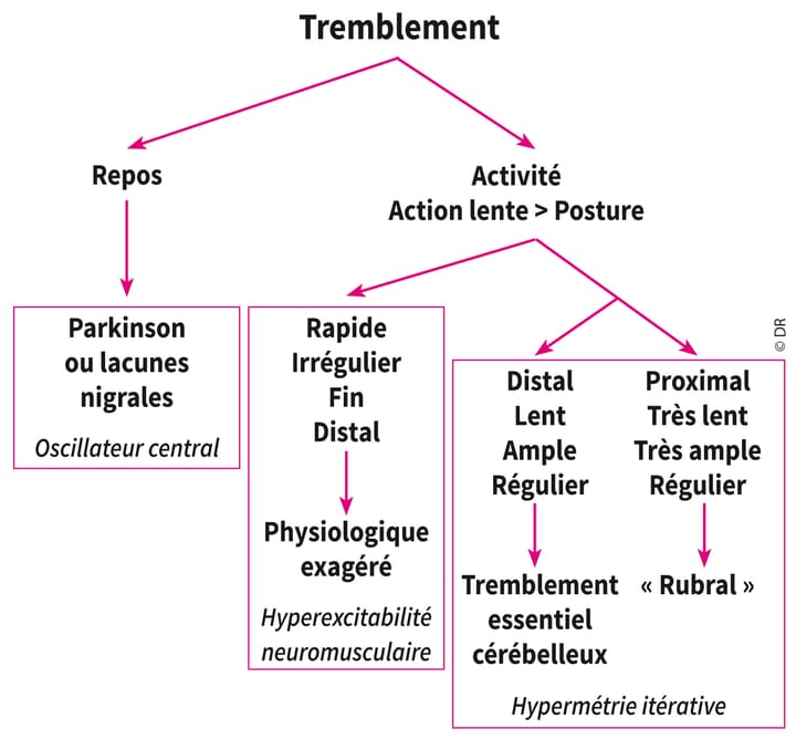 Approche neurorééducative des tremblements : épidémiologie, physiopathologie et classification des tremblements (1ère partie)