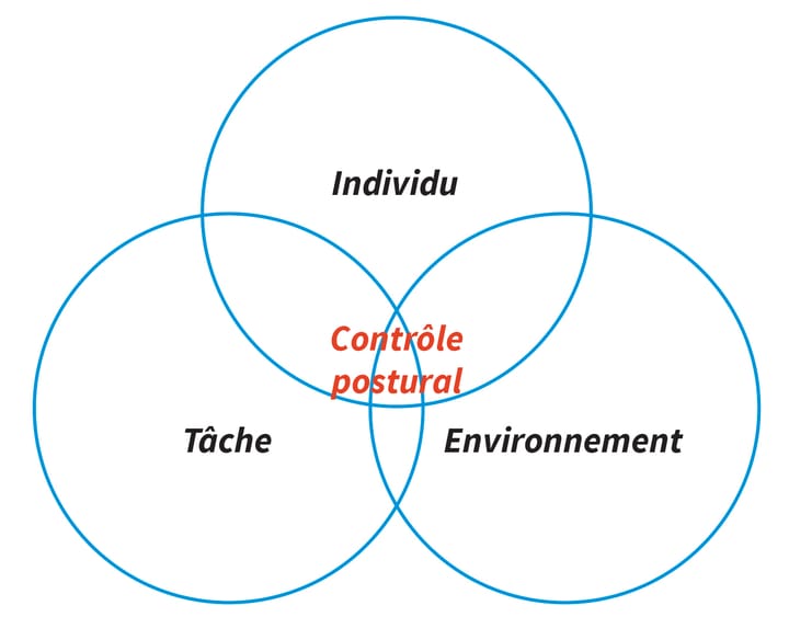 Posture et équilibre : de la sensorialité à la motricité, tout un processus d'intégration corticale