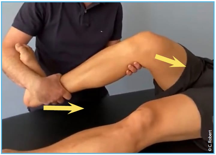 Proposition d'un arbre décisionnel aidant au diagnostic kinésithérapique différentiel des pathologies de la face médiale et du pivot central du genou