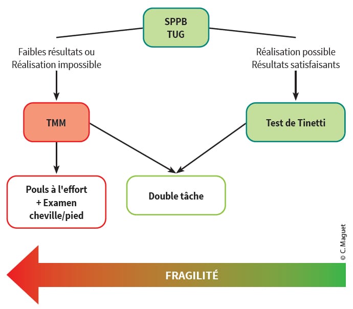 Évaluer pour mieux rééduquer en kinésithérapie gériatrique pourquoi ? Comment ?
