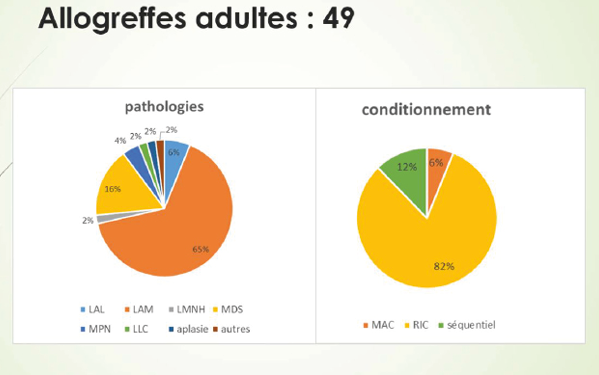 Place du masseur-kinésithérapeute dans le parcours de soins du patient allogreffé