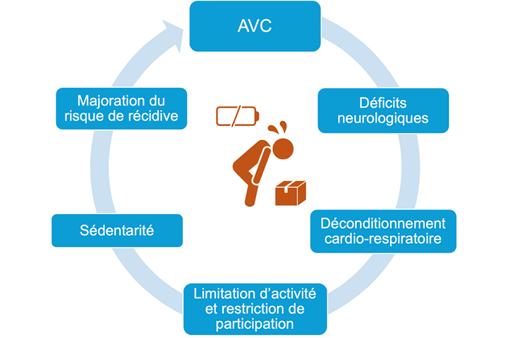 Post-AVC en cabinet libéral : sollicitons-nous suffisamment nos patients ?